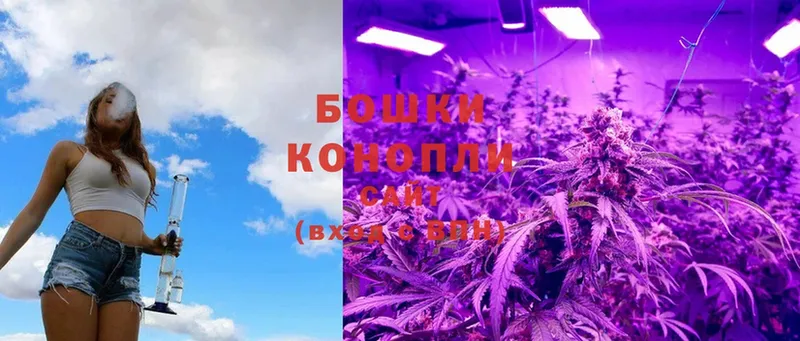 Конопля White Widow  Уяр 